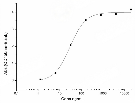 Measured by its binding ability in a functional ELISA. Immobilized human ACE2 protein (Fc tag)(Cat: PKSH031870) at 2 μg/mL (100 μL/well) can bind SARS-CoV-2 (2019-nCoV) Spike RBD-His (V367F) Recombinant Protein (PKSR030524), the EC<sub>50</sub> of SARS-CoV-2 (2019-nCoV) Spike RBD-His (V367F) Recombinant Protein (PKSR030524) is 20-50 ng/mL.