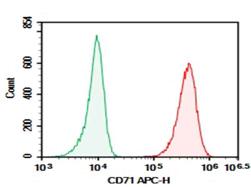 Anti-Human CD71 Antibody [CY1G4] - ABMIUM