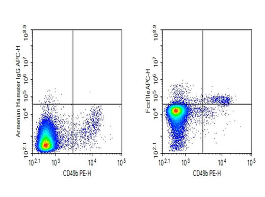 Anti-Mouse FcεRIα Antibody [46082] - ABMIUM