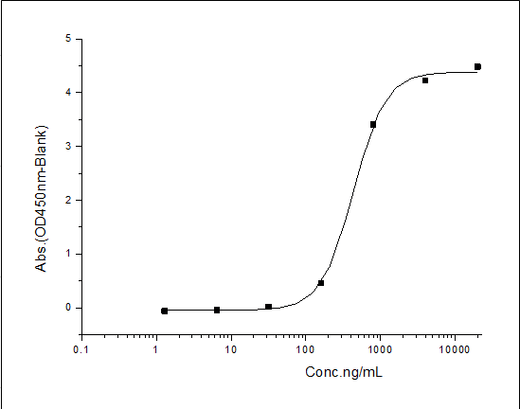 Measured by its binding ability in a functional ELISA. Immobilized ratPDPN-Fc (Cat: PKSR030139) at 10 μg/mL (100 μL/well) can bind CLEC1B-His/Biotin (Cat: PKSH031326), the EC<sub>50</sub> of human CLEC1B-His/Biotin (Cat: PKSH031326) is 300-600 ng/mL.
