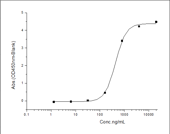 Measured by its binding ability in a functional ELISA. Immobilized ratPDPN-Fc (Cat: PKSR030139) at 10 μg/mL (100 μL/well) can bind CLEC1B-His/Biotin (Cat: PKSH031326), the EC<sub>50</sub> of human CLEC1B-His/Biotin (Cat: PKSH031326) is 300-600 ng/mL.