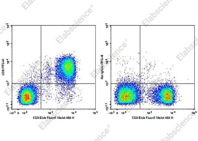 Anti-Mouse CD6 Antibody [OX-129] - ABMIUM