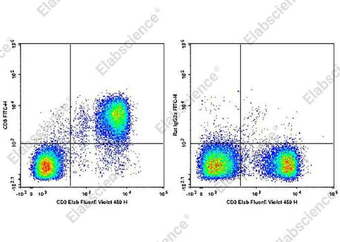 Anti-Mouse CD6 Antibody [OX-129] - ABMIUM