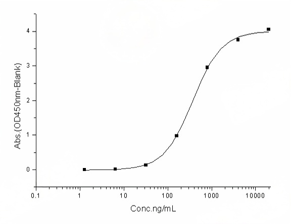 Measured by its binding ability in a functional ELISA. Immobilized human ACE2 protein (mFc tag) (Cat: PKSH031870) at 2 μg/mL (100 μL/well) can bind SARS-CoV-2 (2019-nCoV) Spike Protein (S1, His tag), Biotinylated (Cat: PKSR030515), the EC<sub>50</sub> of SARS-CoV-2 (2019-nCoV) Spike Protein (S1, His tag), Biotinylated (Cat: PKSR030515) is 200-600 ng/mL.