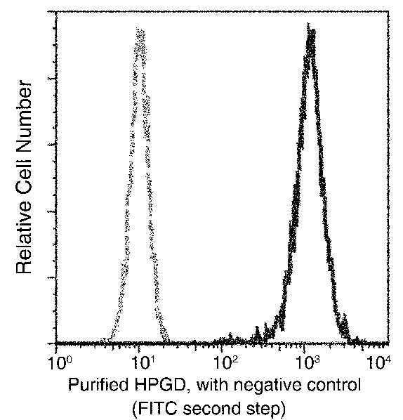 Anti-Human HPGD Antibody [A1138] - ABMIUM