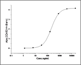Measured by its binding ability in a functional ELISA. Immobilized Rat CD64-his at 10 μg/ml (100 μl/well) can bind biotinylated human IgG1, The EC<sub>50</sub> of biotinylated human IgG1 is 0.04-0.08 μg/ml.