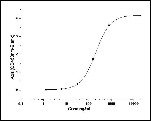Measured by its binding ability in a functional ELISA. Immobilized Rat CD64-his at 10 μg/ml (100 μl/well) can bind biotinylated human IgG1, The EC<sub>50</sub> of biotinylated human IgG1 is 0.04-0.08 μg/ml.