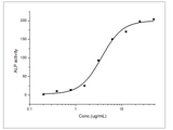 Measured by the ability of the immobilized protein to enhance BMP2-induced alkaline phosphatase activity in C3H10T1/2 mouse embryonic fibroblast cells. The ED<sub>50</sub> for this effect is typically 1.5-15 μg/mL.
