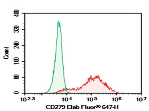 Anti-Mouse CD279 Antibody [RMP1-14] - ABMIUM