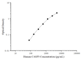 Uncoated Human CASP3 (Caspase 3) ELISA Kit - ABMIUM