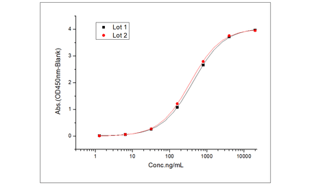 Lot-to-Lot Consistency