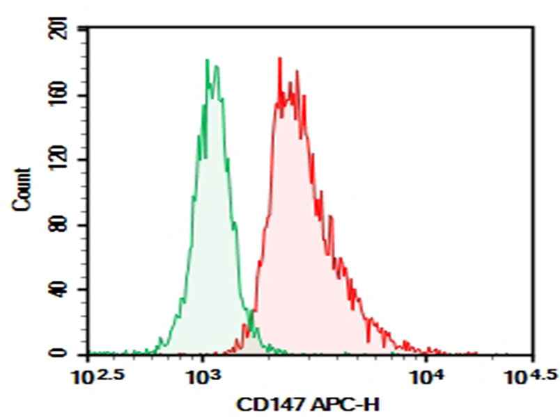 Anti-Human CD147 Antibody [6H8] - ABMIUM