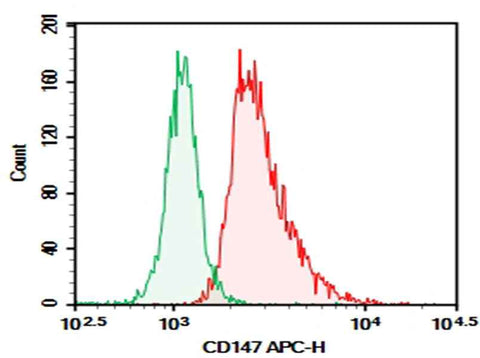 Anti-Human CD147 Antibody [6H8] - ABMIUM