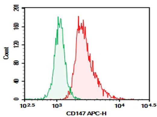 Anti-Human CD147 Antibody [6H8] - ABMIUM