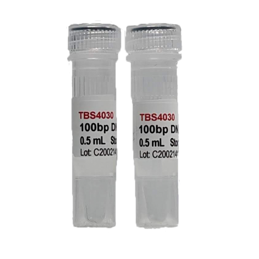 100bp DNA Ladder