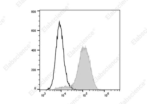 Anti-Human CD146 Antibody [P1H12] - ABMIUM