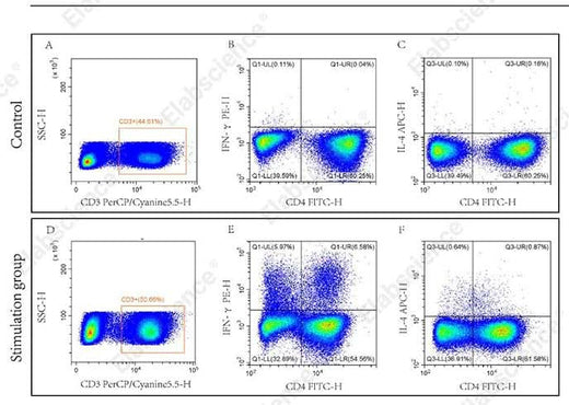 Flow cytometric analysis of Mouse Th1/Th2 Flow Cytometry Staining Kit.Splenocytes from normal C57 mouse (Control) and C57 mouse stimulated with Cell Stimulation MIX (Stimulation group), CD3+ CD4+ IFN-γ+ cells (Q1-UR)were gated to analyze Th1 and CD3+ CD4+ IL-4+ cells (Q3-UR)were gated to analyze Th2.