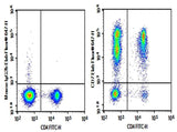 Anti-Human CD7 Antibody [3A1e] - ABMIUM