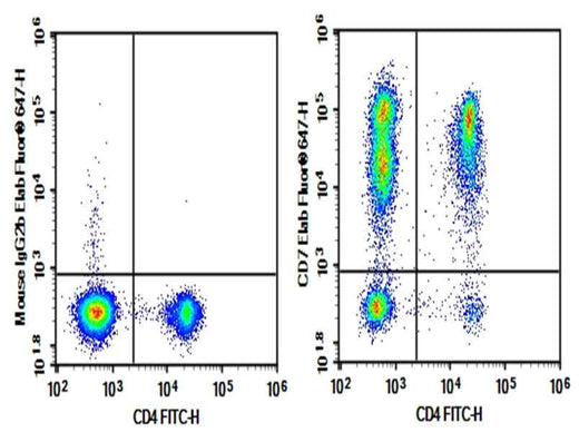 Anti-Human CD7 Antibody [3A1e] - ABMIUM