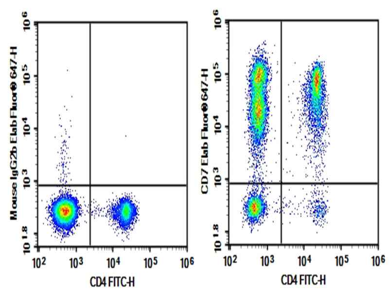 Anti-Human CD7 Antibody [3A1e] - ABMIUM