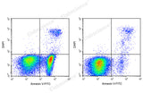 Annexin V-FITC/DAPI Apoptosis Kit - ABMIUM