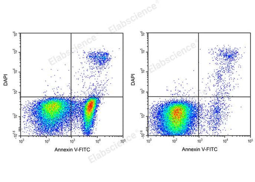 Annexin V-FITC/DAPI Apoptosis Kit - ABMIUM