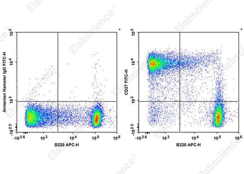Anti-Mouse CD27 Antibody [LG.3A10] - ABMIUM