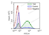 Camptothecin-induced apoptosis in HL-60 cells. Test: HL-60 cells were treated with 2.5 μM Camptothecin for 4h. Control: Normal HL-60 cells were not treated with drugs. Negative: HL-60 cells were treated with 2.5 μM camptothecin for 4h without TdT enzyme.