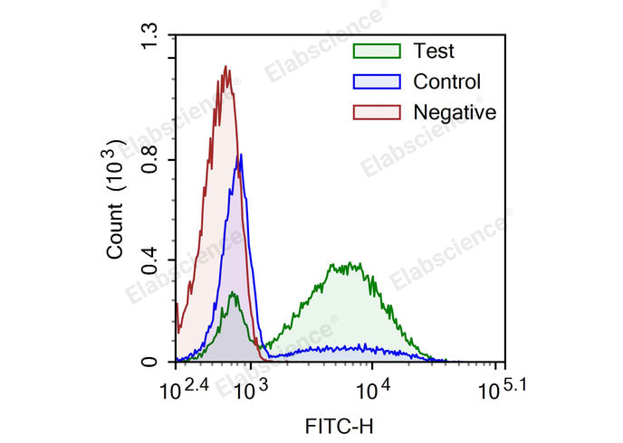Camptothecin-induced apoptosis in HL-60 cells. Test: HL-60 cells were treated with 2.5 μM Camptothecin for 4h. Control: Normal HL-60 cells were not treated with drugs. Negative: HL-60 cells were treated with 2.5 μM camptothecin for 4h without TdT enzyme.