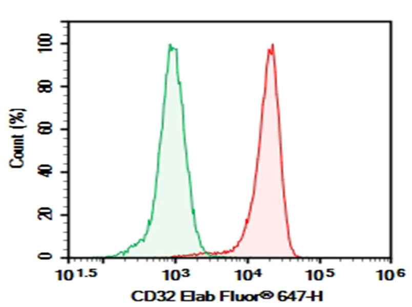 Anti-Human CD32 Antibody [MDE-8] - ABMIUM