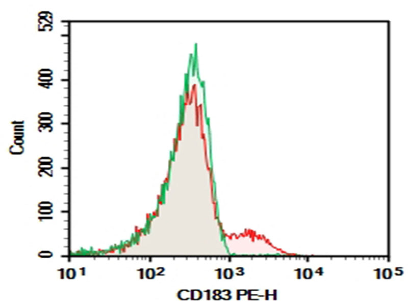 C57/BL6 Mouse splenocytes were stained with 0.2 μg AF/LE Purified Anti-Mouse CD183/CXCR3 Antibody[CXCR3-173] (Right) and 0.2 μg Armenian Hamster IgG, κ Isotype Control (Left), followed by PE-conjugated Goat Anti-Armenian Hamster IgG Secondary Antibody.