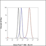 Anti-Human Phospho-BTK (Tyr551) Antibody [A827] - ABMIUM