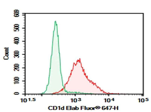 Anti-Mouse CD1d Antibody [1B1] - ABMIUM