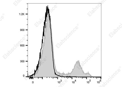 Anti-Rat CD71 Antibody [OX-26] - ABMIUM