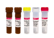 BioRT One-step RT-qPCR Kit(UDG plus) — manufacturer product image