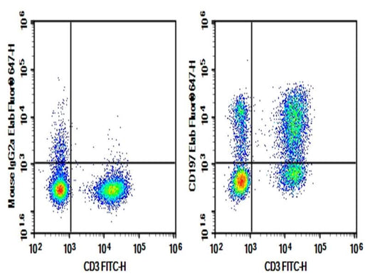 Human peripheral blood lymphocytes were stained with 0.2 μg AF/LE Purified Anti-Human CD197 Antibody[G043H7] (Right) and 0.2 μg Mouse IgG2a, κ Isotype Control (Left), followed by Elab Fluor<sup>®</sup> 647-conjugated Goat Anti-Mouse IgG Secondary Antibody, then anti-Human CD3 FITC-conjugated Monoclonal Antibody.
