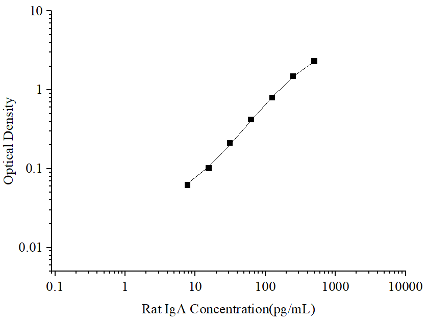 Uncoated Rat IgA (Immunoglobulin A) ELISA Kit - ABMIUM