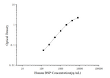 Human BNP(Brain Natriuretic Peptide) ELISA Kit - ABMIUM