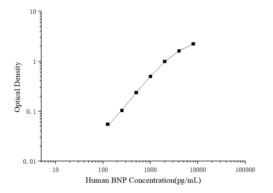 Human BNP(Brain Natriuretic Peptide) ELISA Kit - ABMIUM