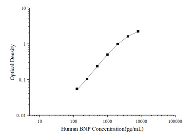 Human BNP(Brain Natriuretic Peptide) ELISA Kit - ABMIUM