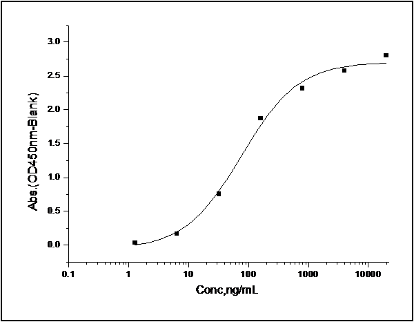 Measured by its binding ability in a functional ELISA. Immobilized recombinant human Tie2 at 2 μg/ml (100 μl/well) can bind human Angiopoietin-2 at a linear range of 1.28-160 ng/ml.
