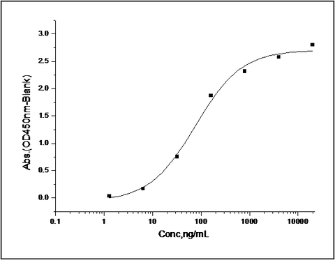 Measured by its binding ability in a functional ELISA. Immobilized recombinant human Tie2 at 2 μg/ml (100 μl/well) can bind human Angiopoietin-2 at a linear range of 1.28-160 ng/ml.