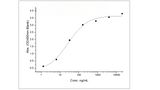 Measured by its binding ability in a functional ELISA. Immobilized human HGF at 2 μg/ml (100 μl/well) can bind mouse HGFR with a linear range of 1.28-32ng/ml.
