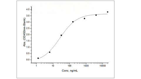 Measured by its binding ability in a functional ELISA. Immobilized human HGF at 2 μg/ml (100 μl/well) can bind mouse HGFR with a linear range of 1.28-32ng/ml.