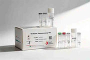 Rat IL-6 VeriQuant Immunoassay Kit