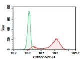 Anti-Human CD277 Antibody [ICT01] - ABMIUM