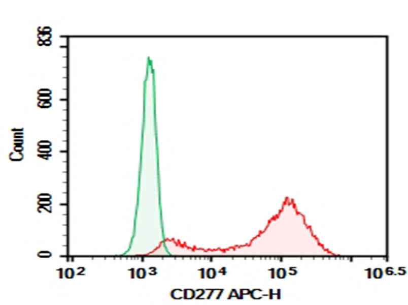 Anti-Human CD277 Antibody [ICT01] - ABMIUM