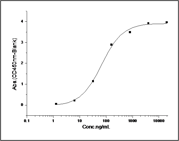 Measured by its binding ability in a functional ELISA. Immobilized human LRPAP1 at 0.5 μg/ml can bind human VLDLR with a range of 3.2-400 ng/ml.