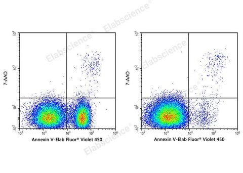 Annexin V-Elab Fluor® Violet 450/7-AAD Apoptosis Kit - ABMIUM