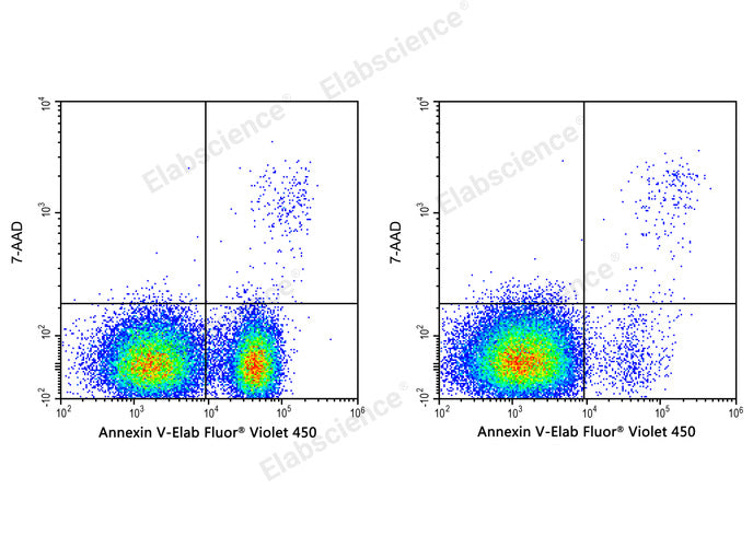 Annexin V-Elab Fluor® Violet 450/7-AAD Apoptosis Kit - ABMIUM
